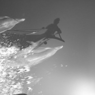 Photo #111946