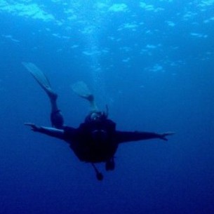 Photo #112485